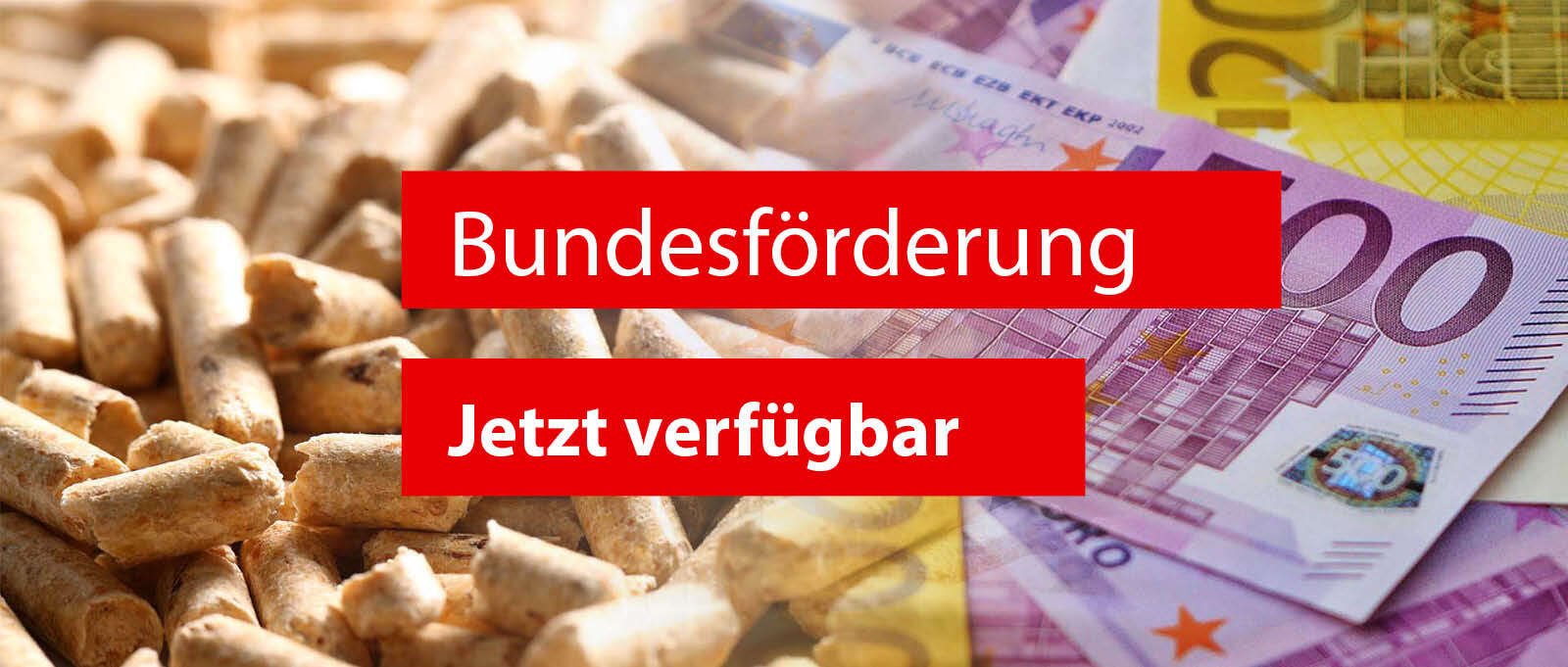 Bundesf&ouml;rderung 2021 ab sofort verf&uuml;gbar