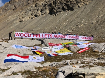 Wood Pellets against Climate Change