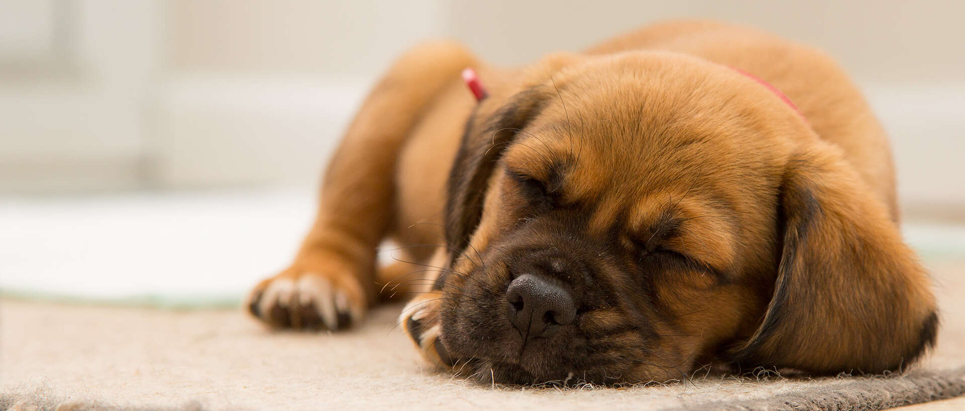 Erholsamer Schlaf im Winter