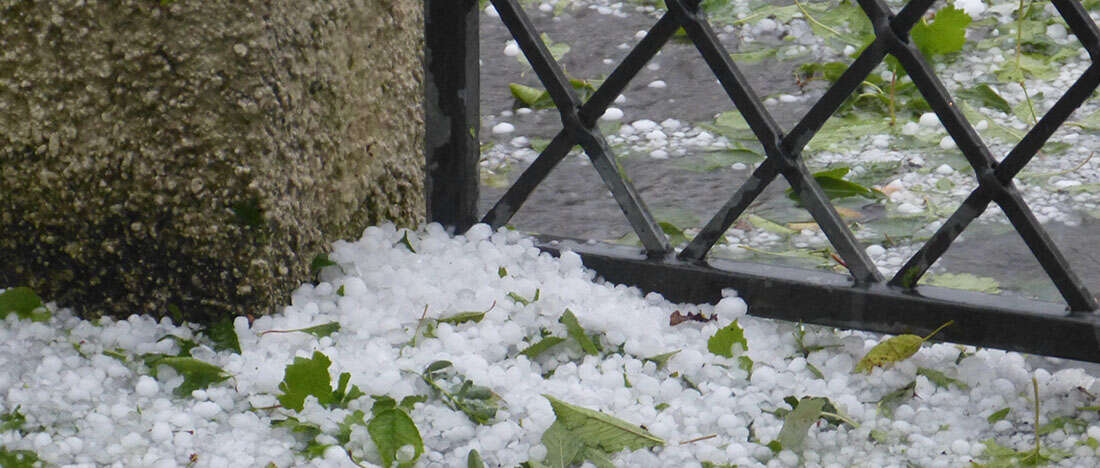 Der Klimawandel kommt in &Ouml;sterreich an