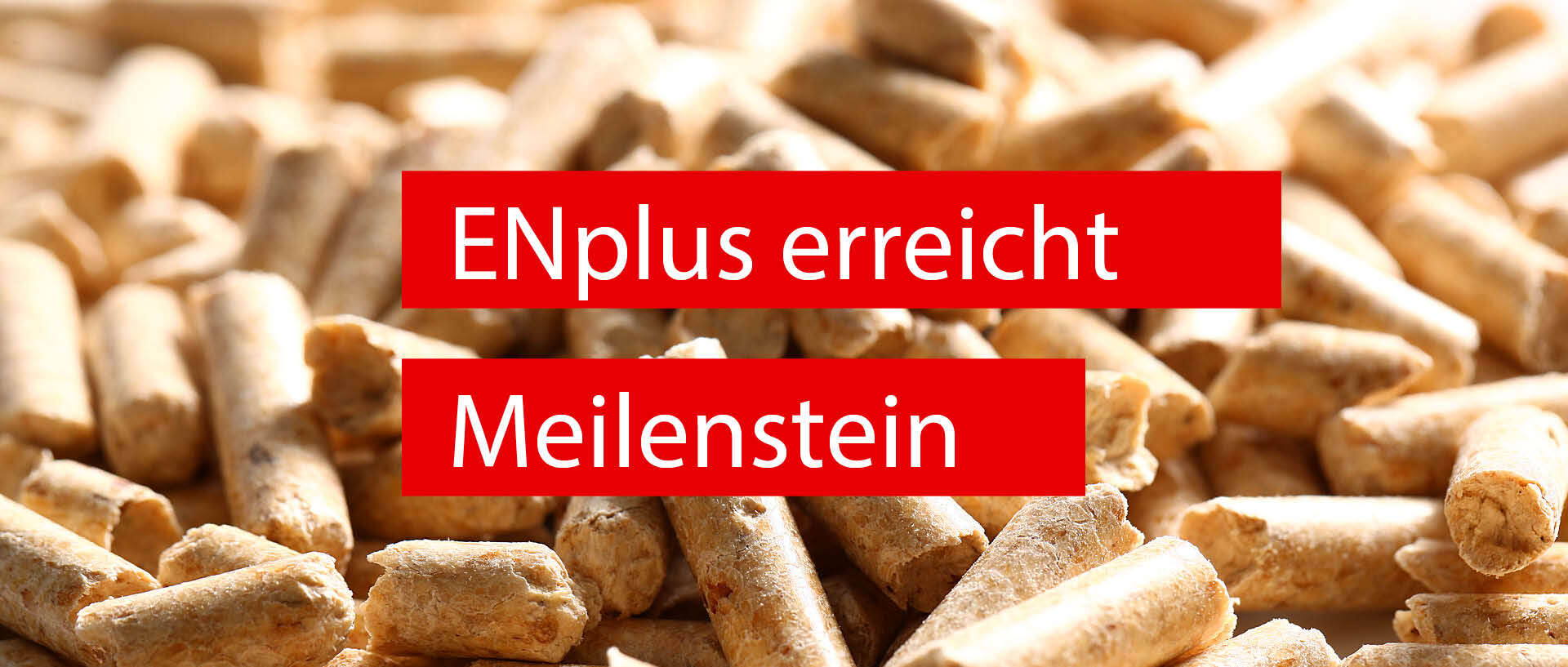 Meilenstein in weltweiter Pelletqualit&auml;t erreicht