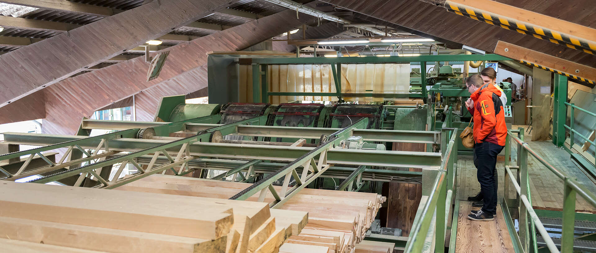 Vom Baum zum Holz zum Brennstoff