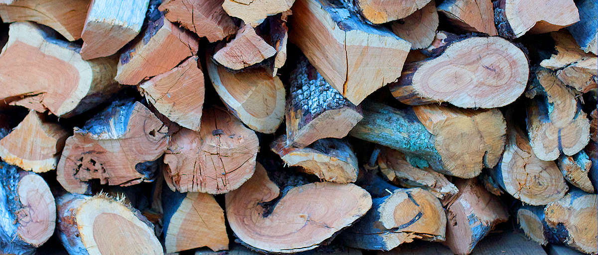 Die Holzlüge: Dokumentation vernebelt Fakten