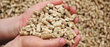 Pellets - eine österreichische Erfolgsgeschichte?