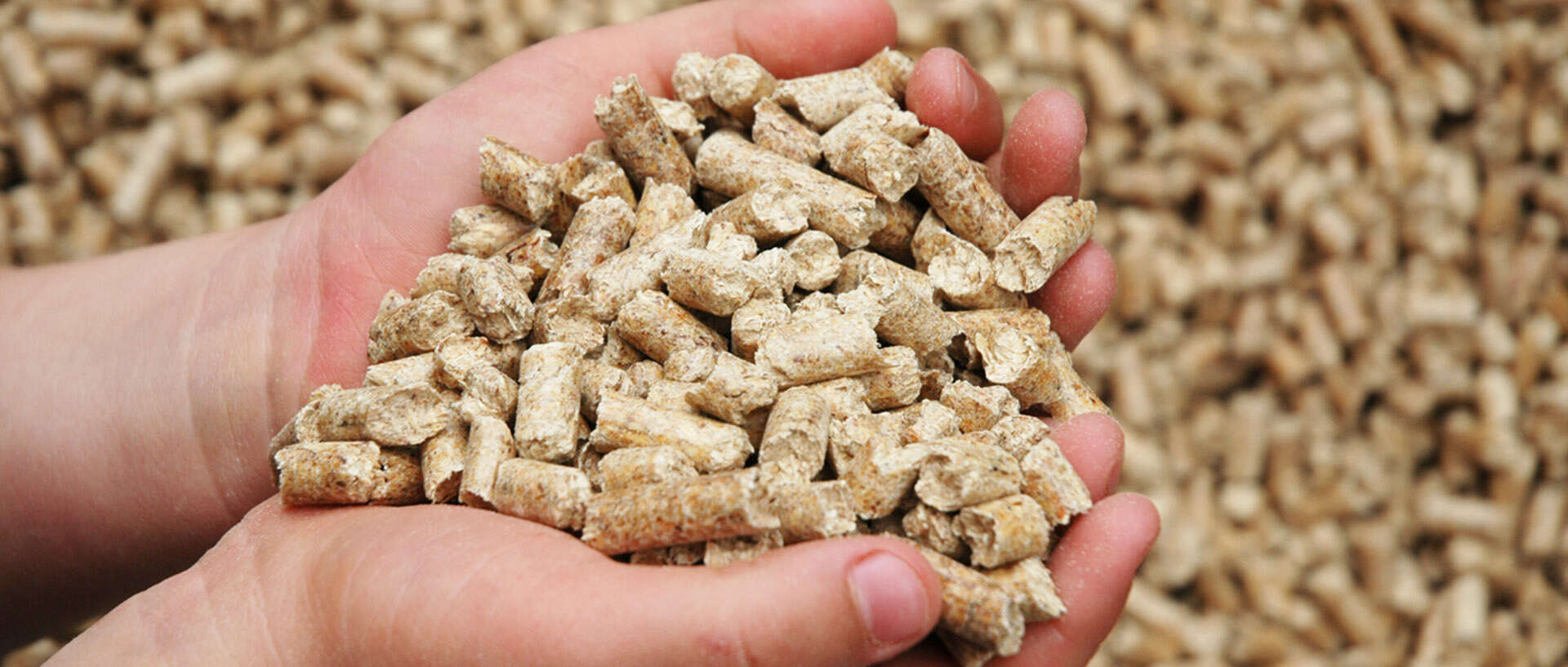 Pellets - eine &ouml;sterreichische Erfolgsgeschichte?