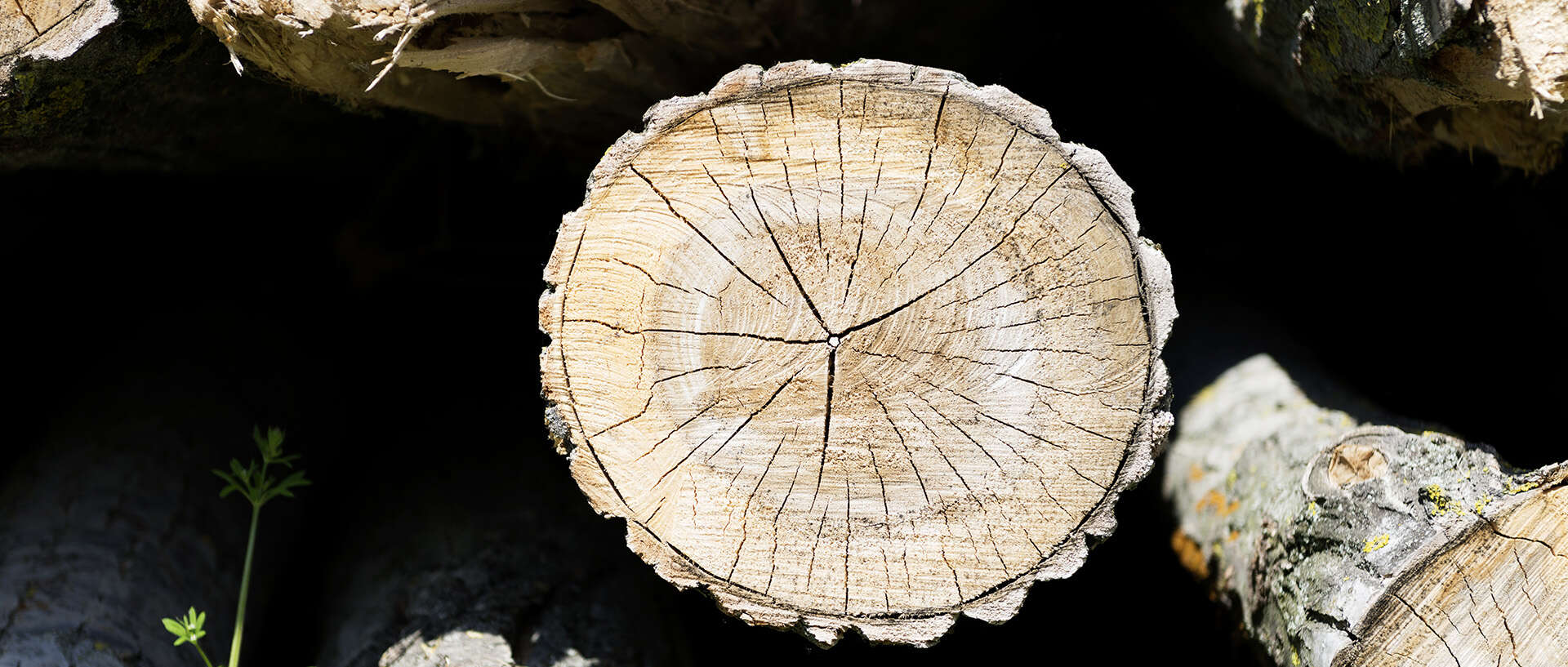 Heizen mit Holz - eine saubere Sache