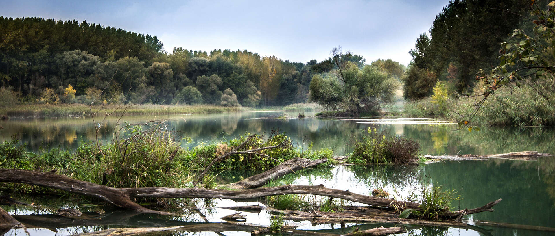Geschichte des Waldes - Teil 1