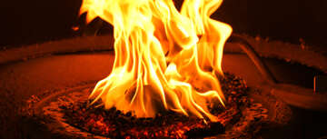 Energiebilanz von Holzpellets