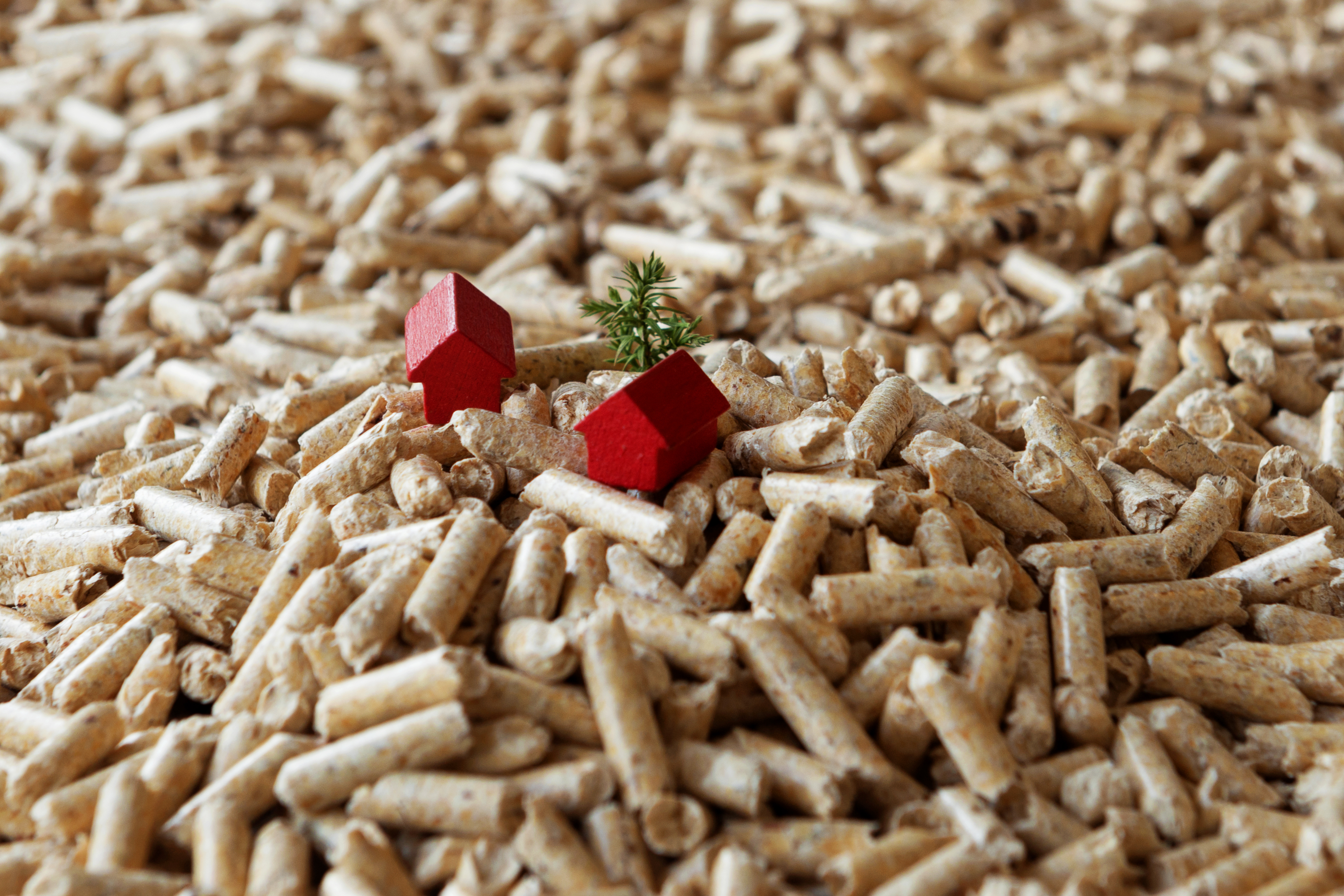 Holzpellets, H&auml;user, Haus, Baum