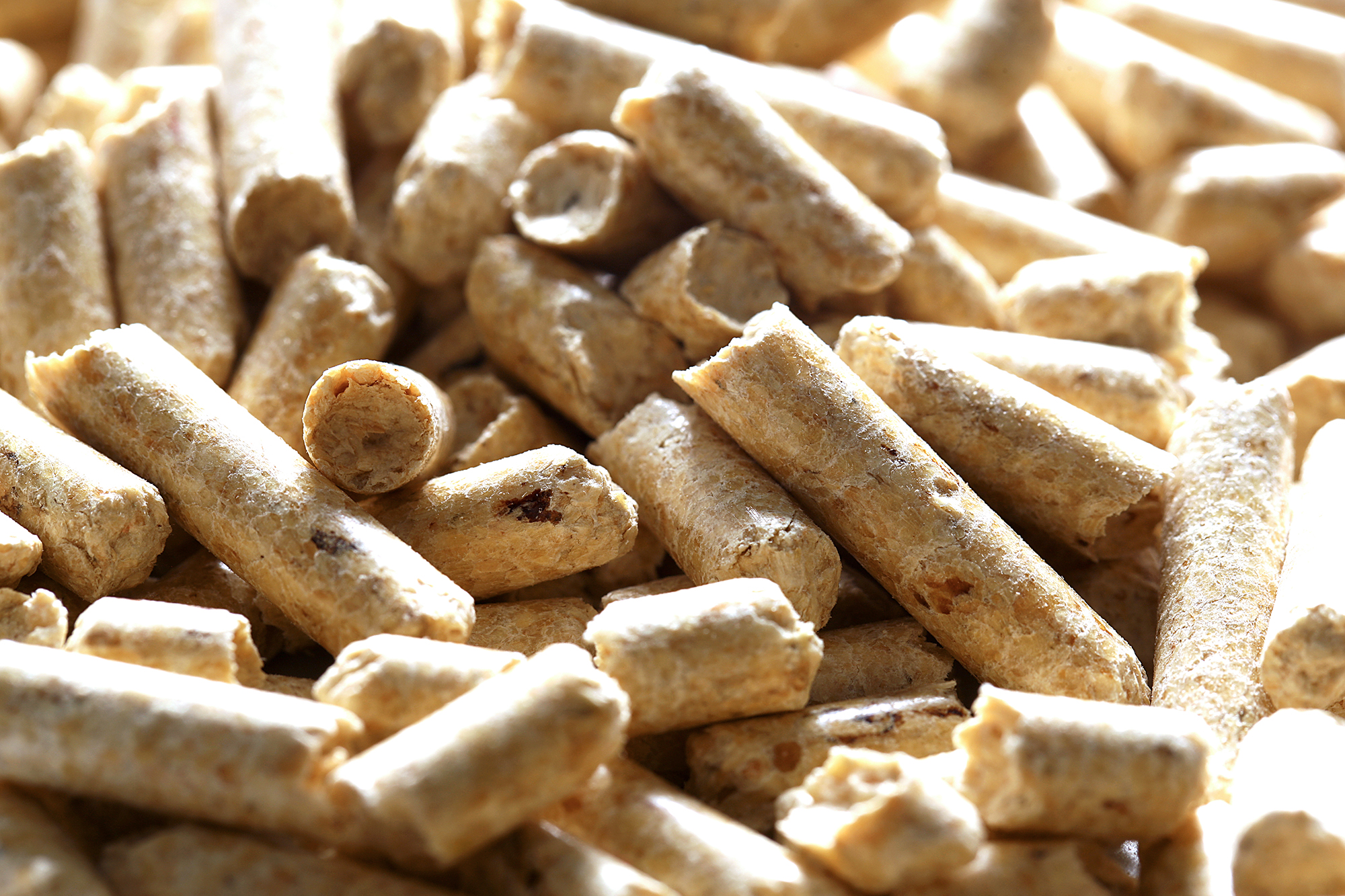 Holzpellets Nahaufnahme