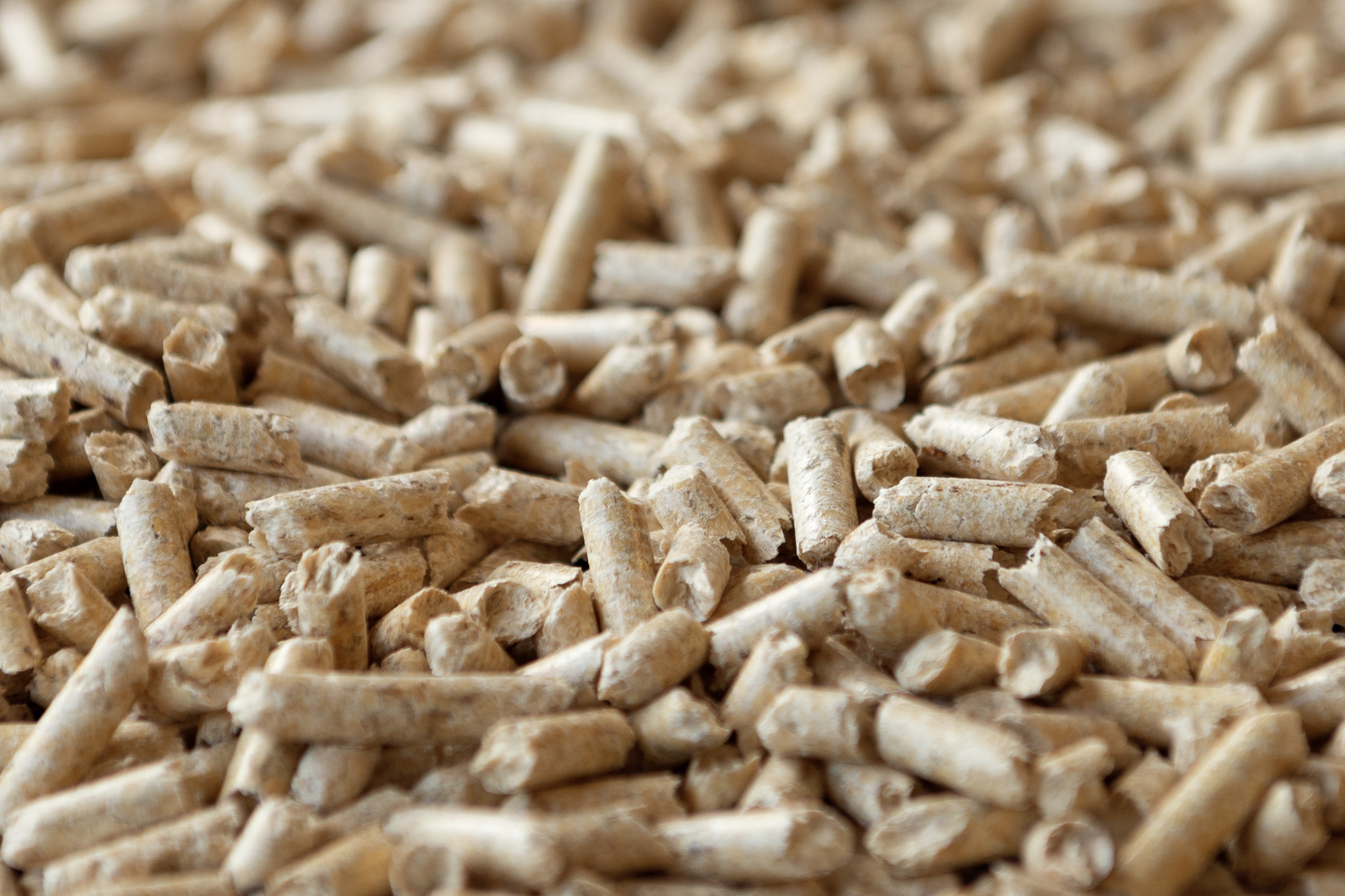 Holzpellets