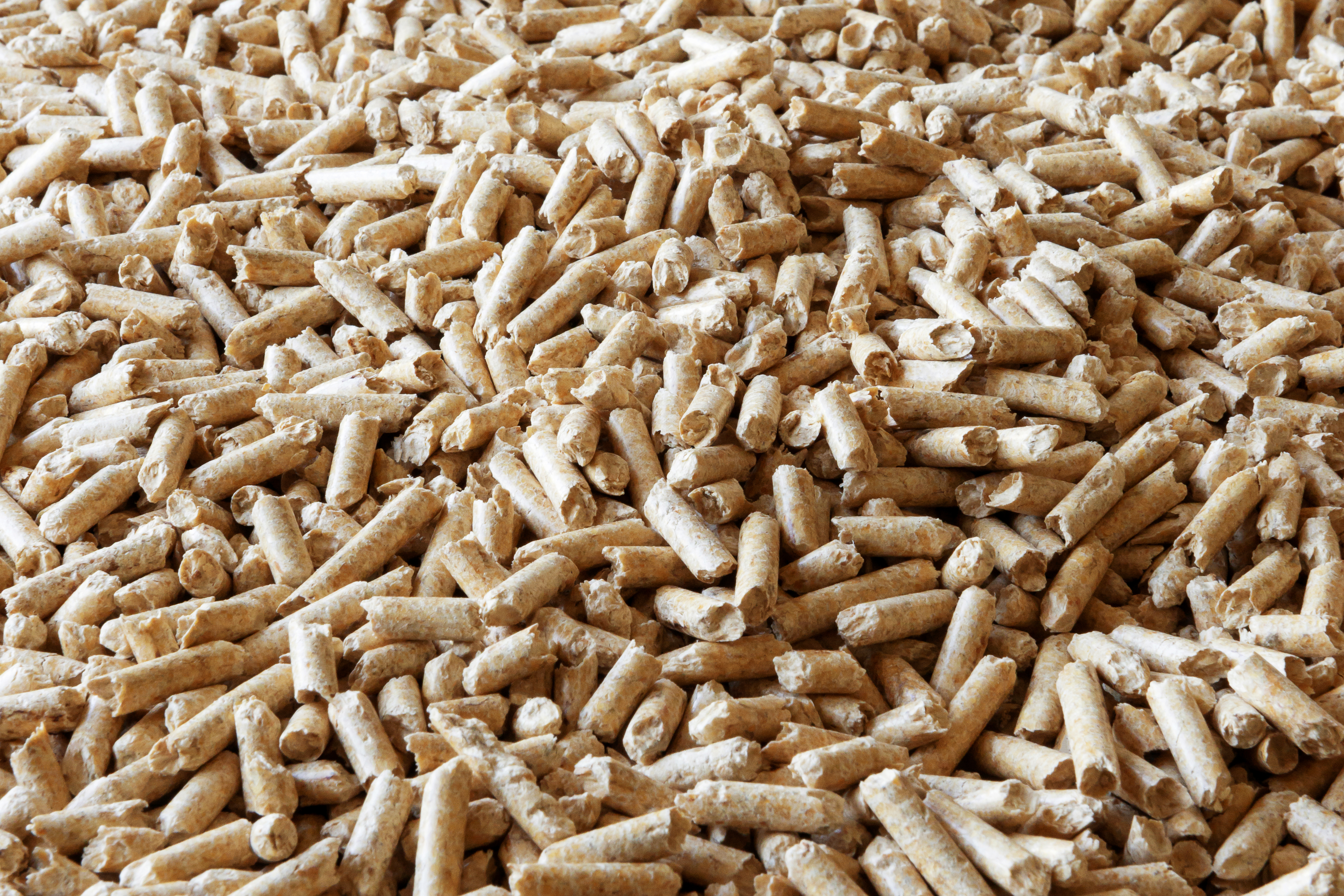 Holzpellets