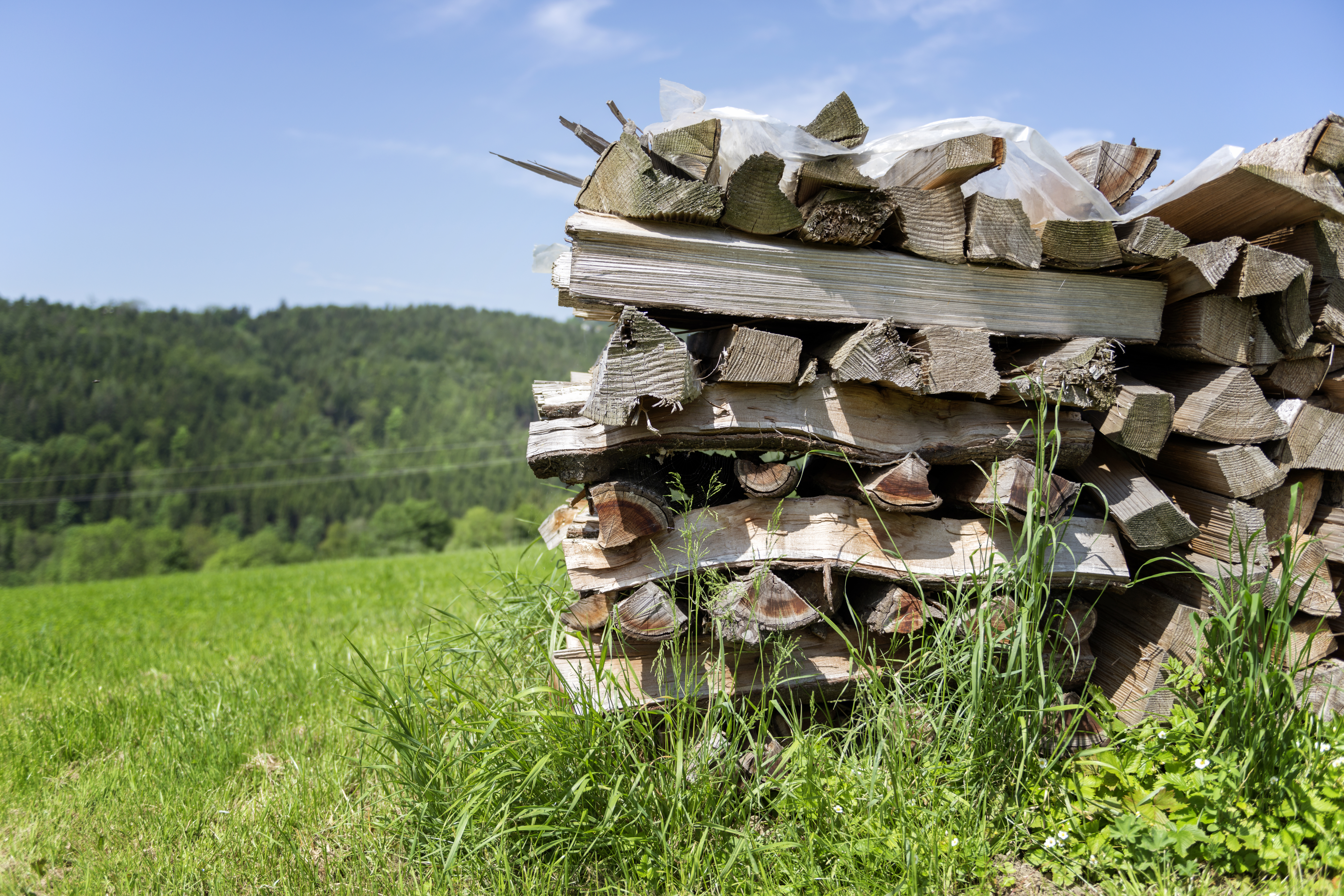 Holzsto&szlig;, Scheitholz, Wiese, Holzstapel