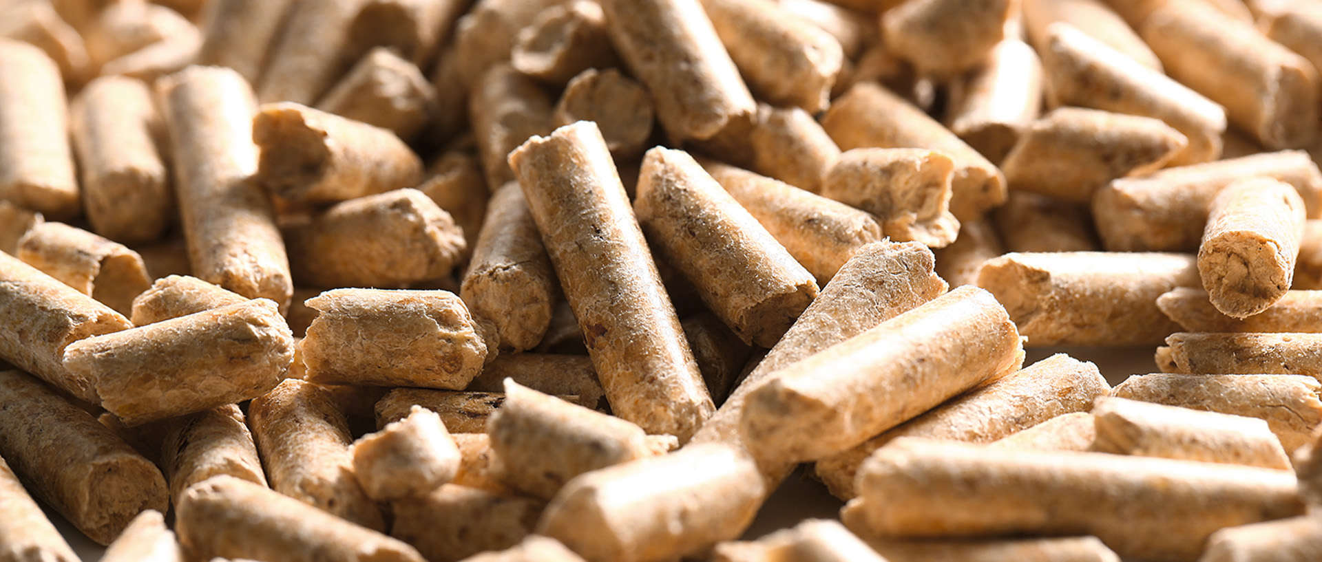The Many Advantages Of Wood Pellets